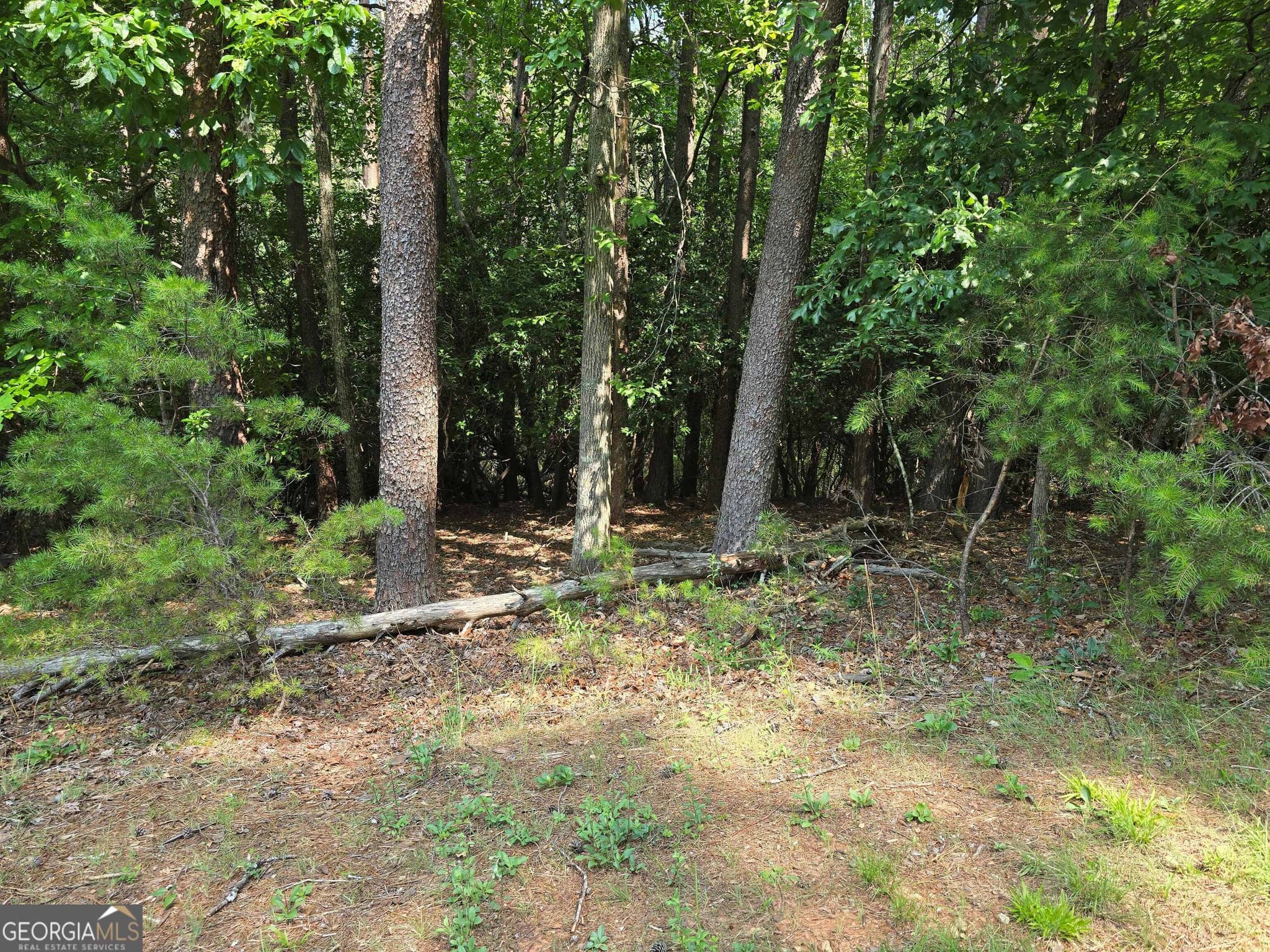 residential lot for sale at C2 Quail Run, Sautee Nacoochee, GA 30571 — photo 3
