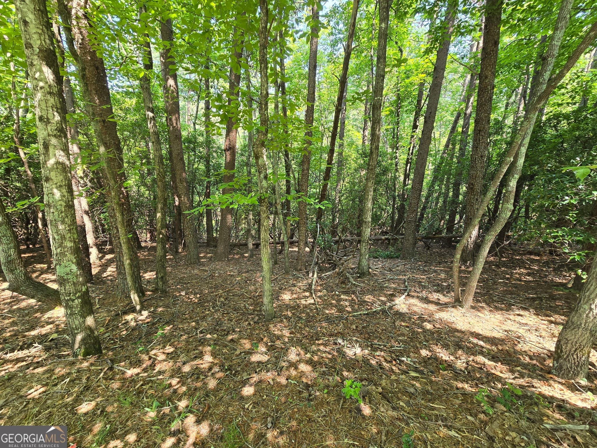 residential lot for sale at C2 Quail Run, Sautee Nacoochee, GA 30571 — photo 1 of 17