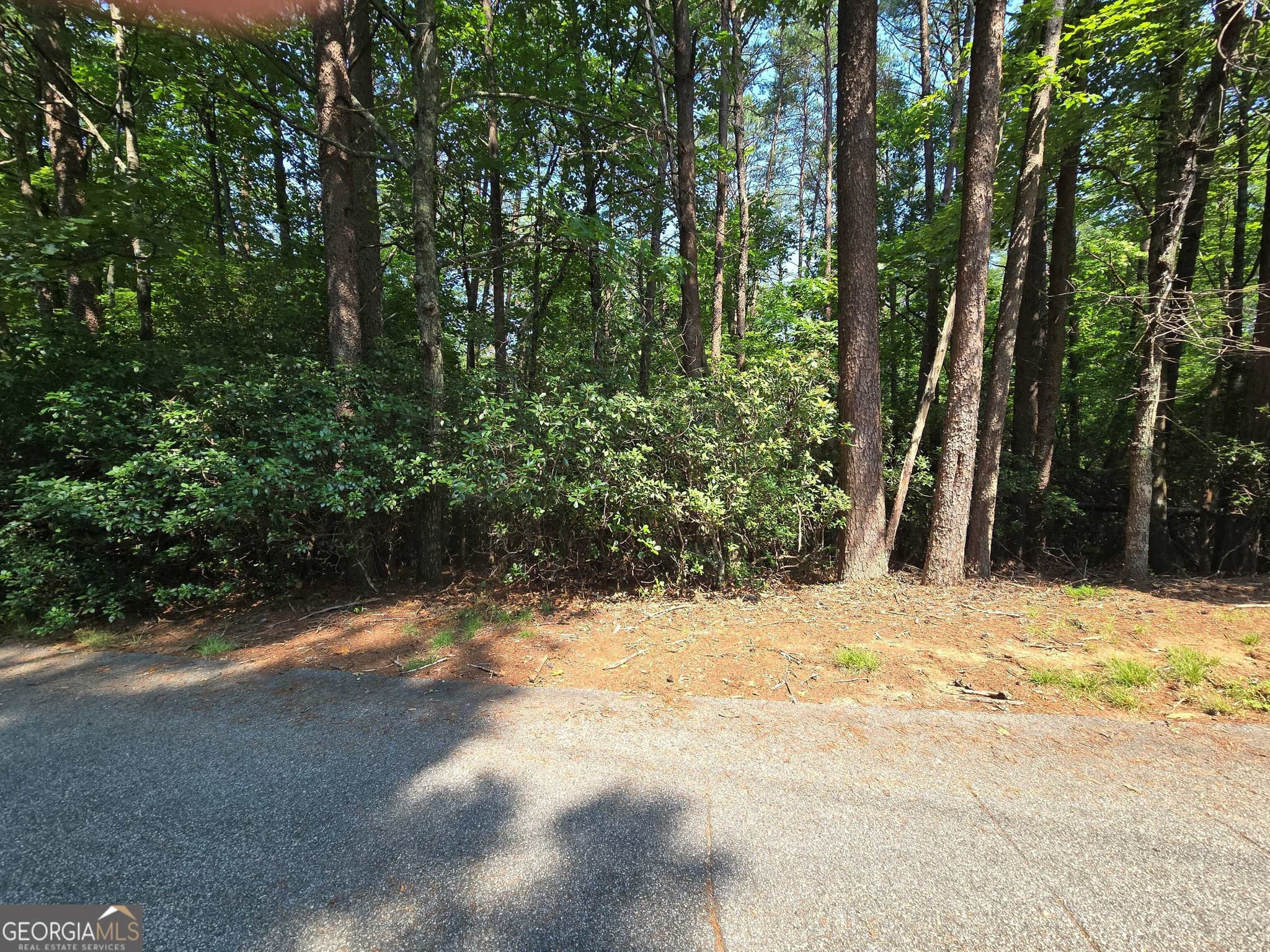 residential lot for sale at C2 Quail Run, Sautee Nacoochee, GA 30571 — photo 5