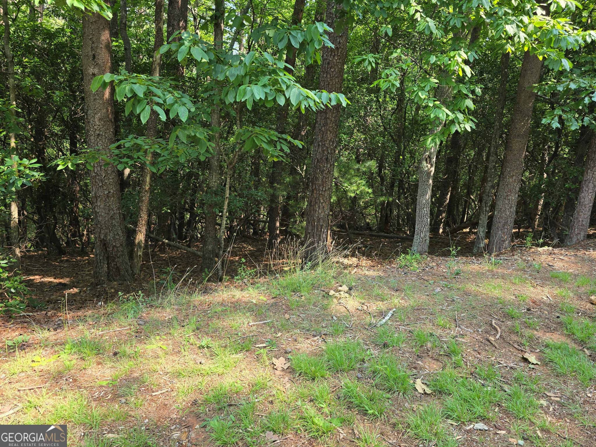 residential lot for sale at C2 Quail Run, Sautee Nacoochee, GA 30571 — photo 9