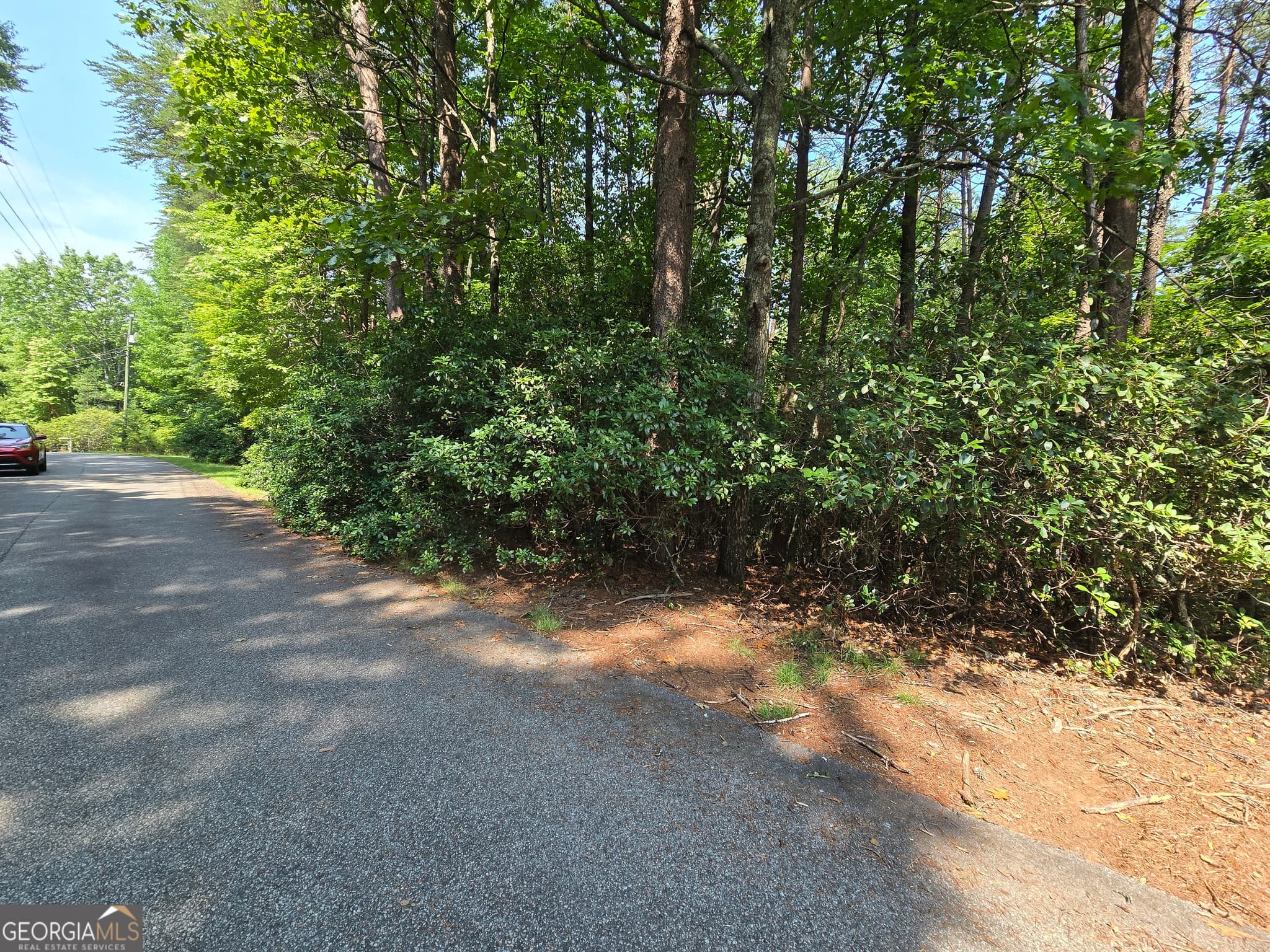 residential lot for sale at C2 Quail Run, Sautee Nacoochee, GA 30571 — photo 4