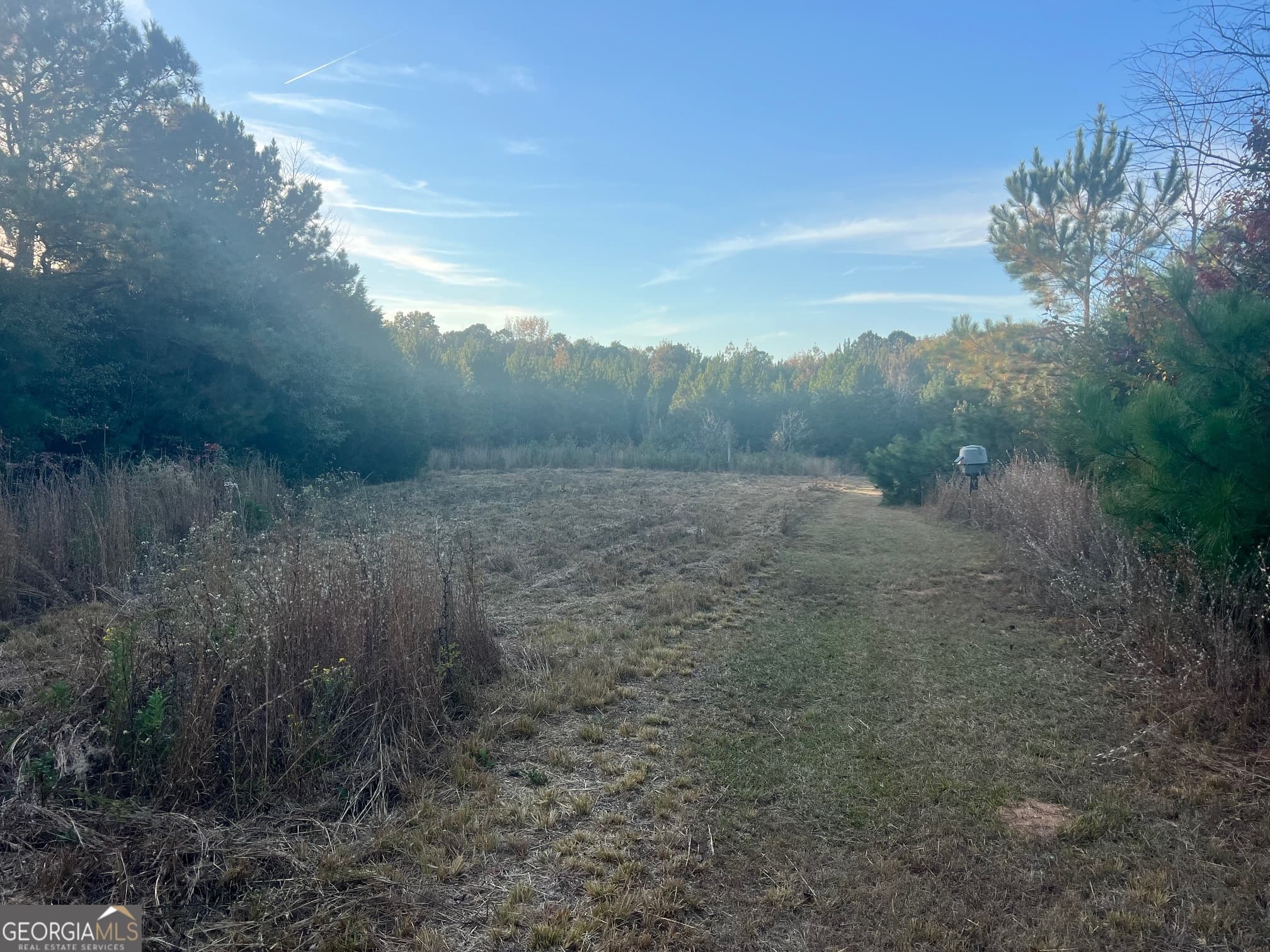unimproved land for sale at 0 Plantation Road, Mcdonough, GA 30252 — photo 6