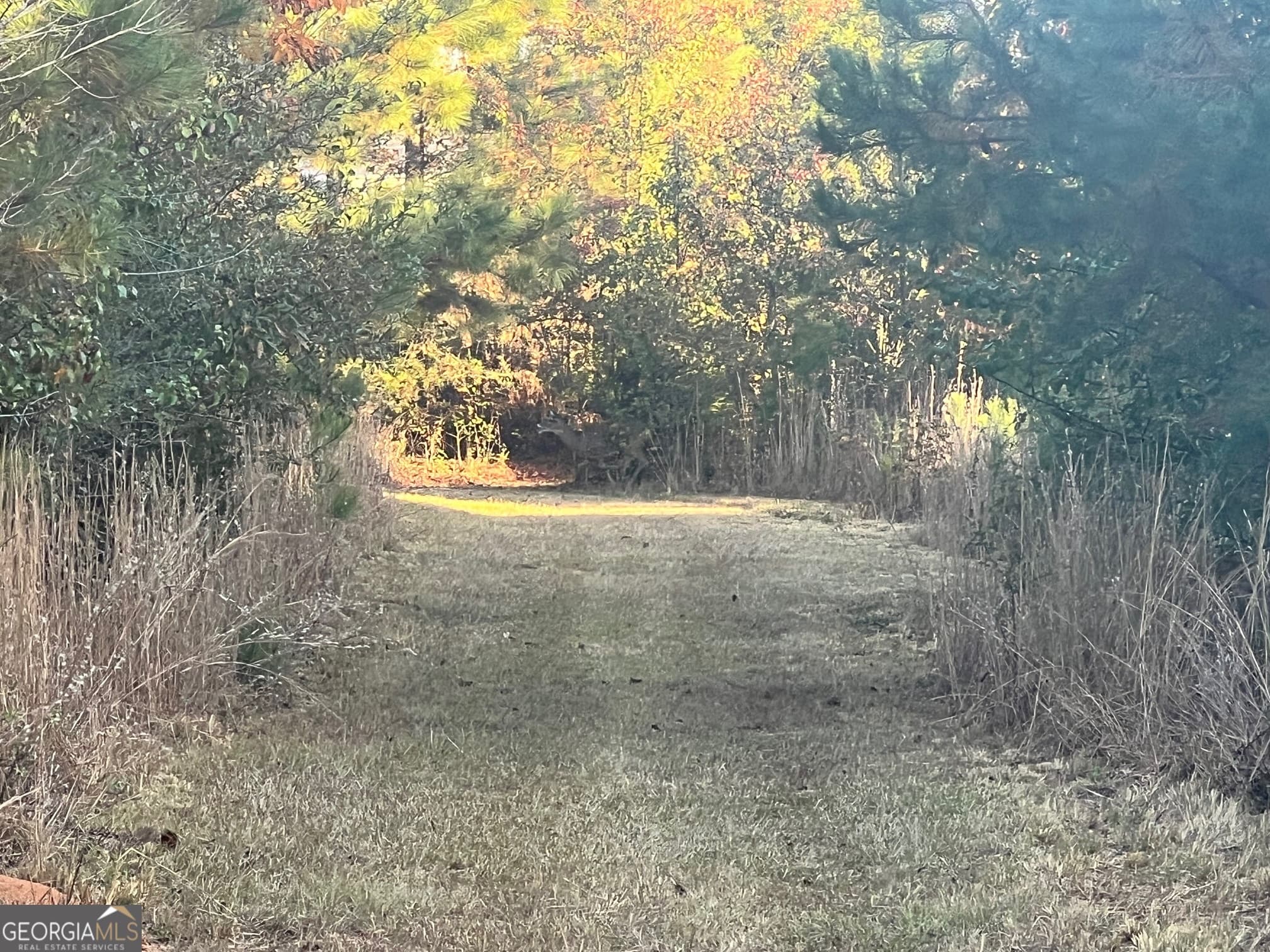 unimproved land for sale at 0 Plantation Road, Mcdonough, GA 30252 — photo 7