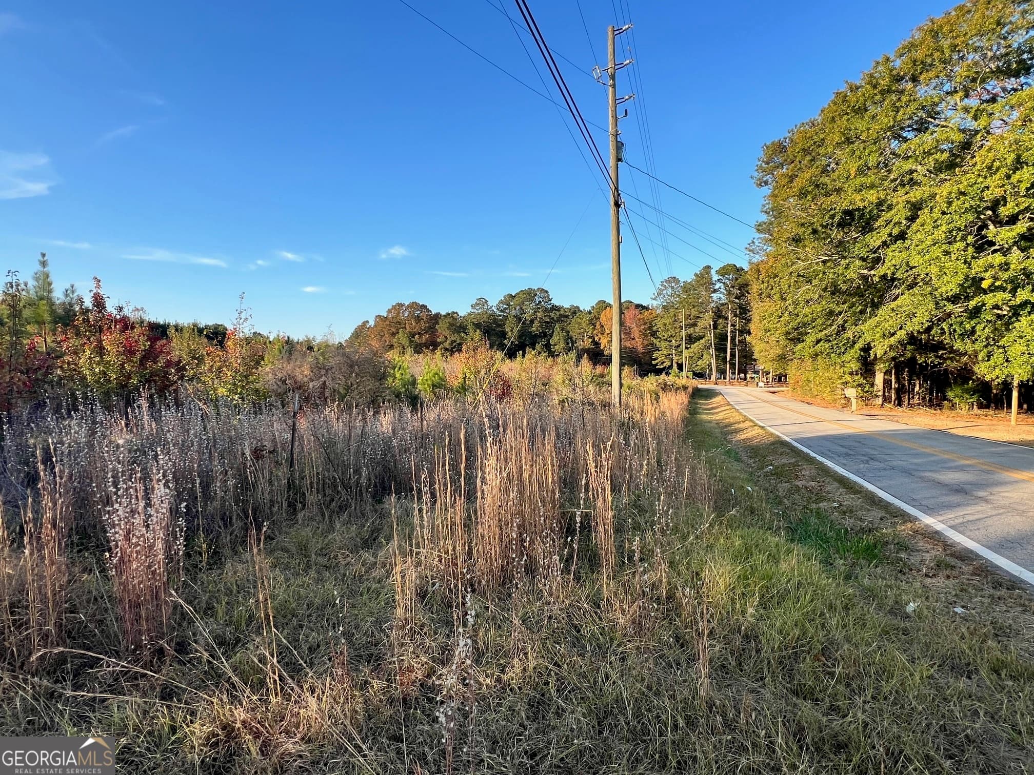unimproved land for sale at 0 Plantation Road, Mcdonough, GA 30252 — photo 3