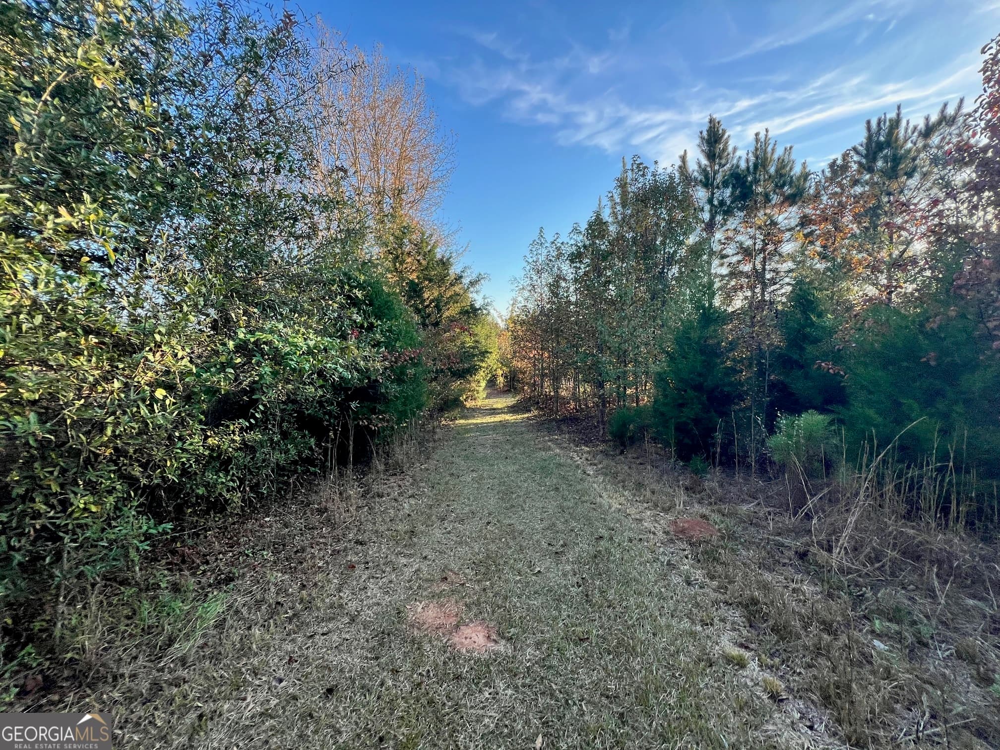unimproved land for sale at 0 Plantation Road, Mcdonough, GA 30252 — photo 5