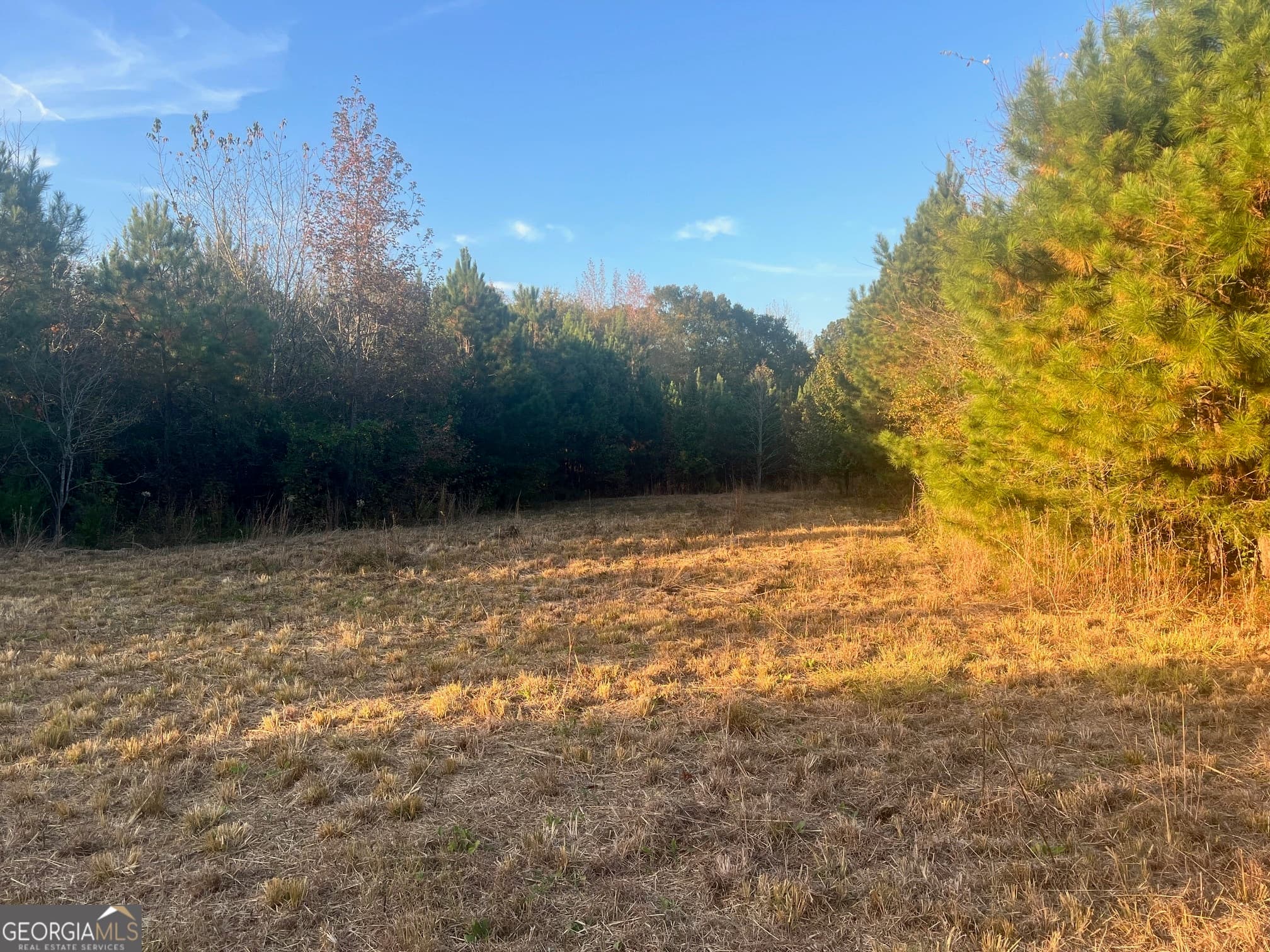 unimproved land for sale at 0 Plantation Road, Mcdonough, GA 30252 — photo 9