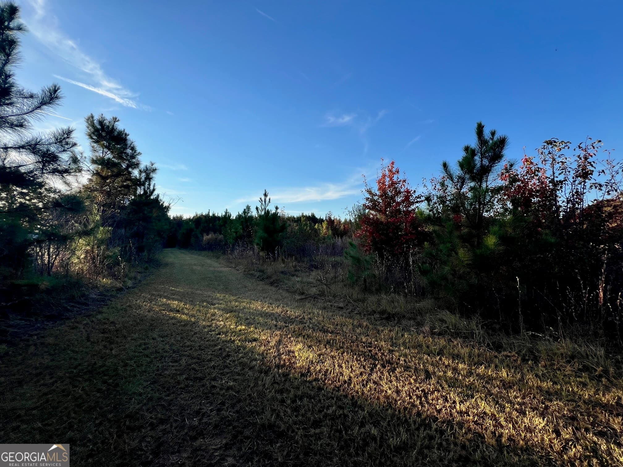 unimproved land for sale at 0 Plantation Road, Mcdonough, GA 30252 — photo 4