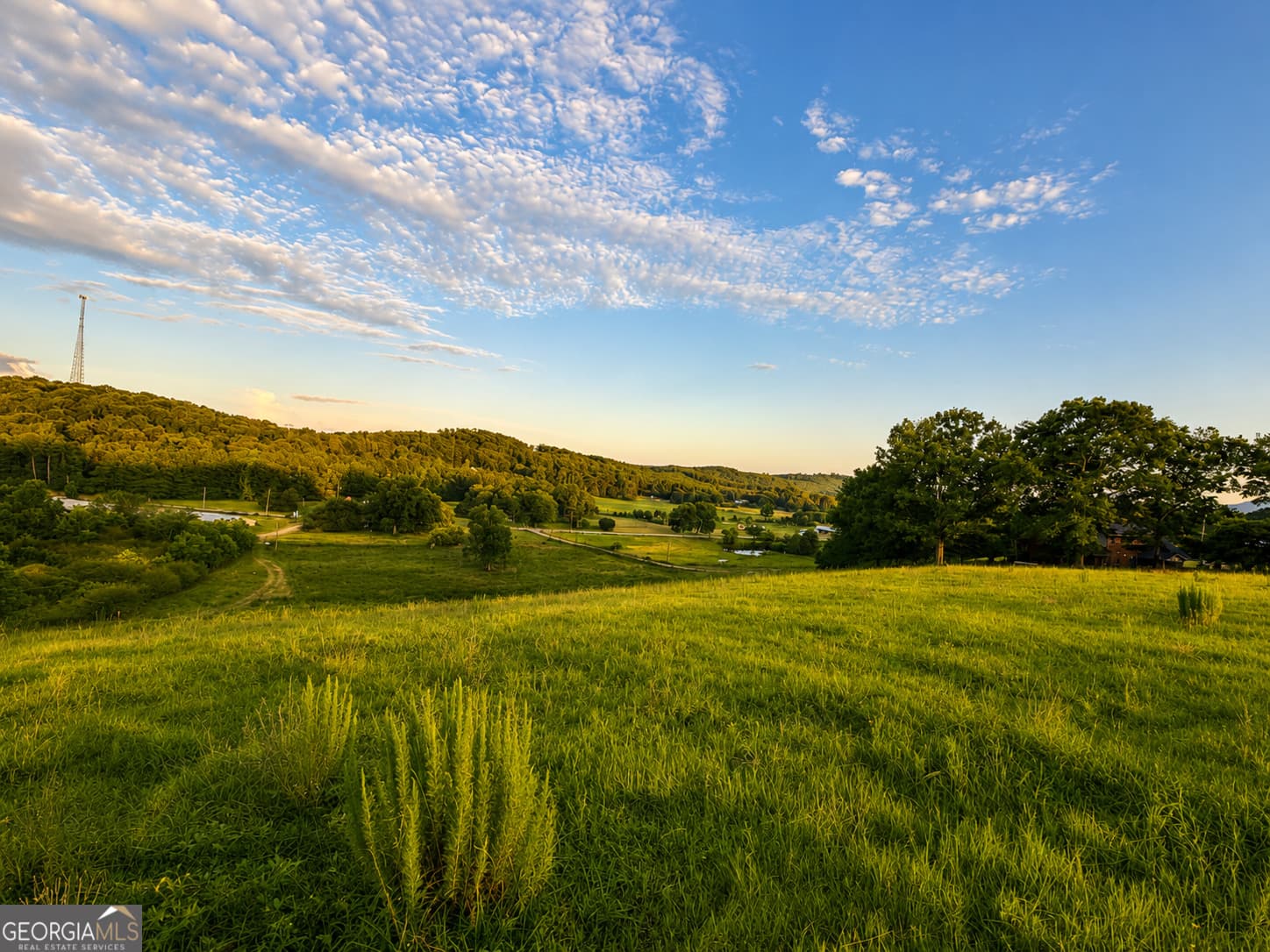 agriculture for sale at 0 Gadsden Road, Cave Spring, GA 30124 — photo 10