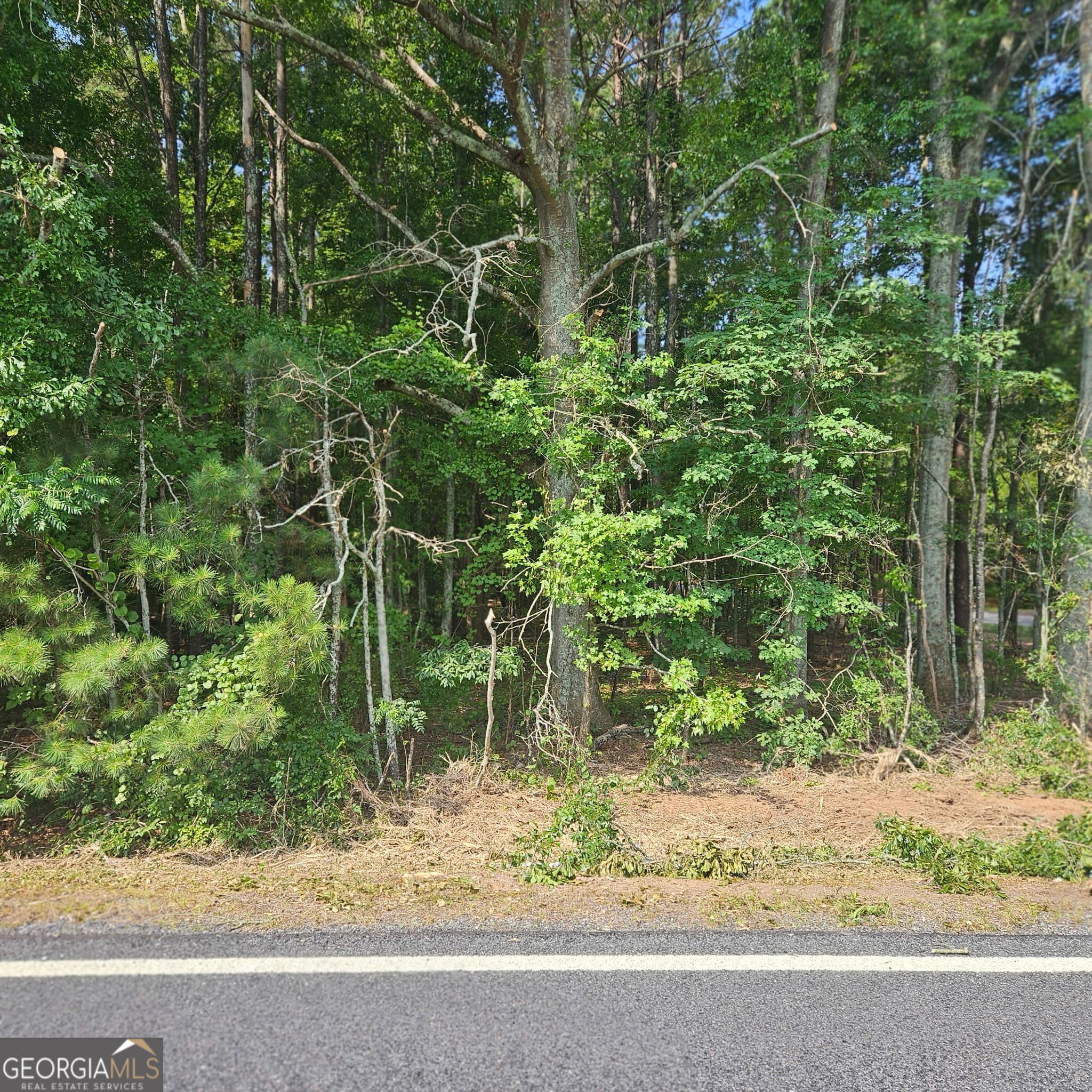 residential lot for sale at 0 Academy Lane, Rutledge, GA 30663 — photo 3