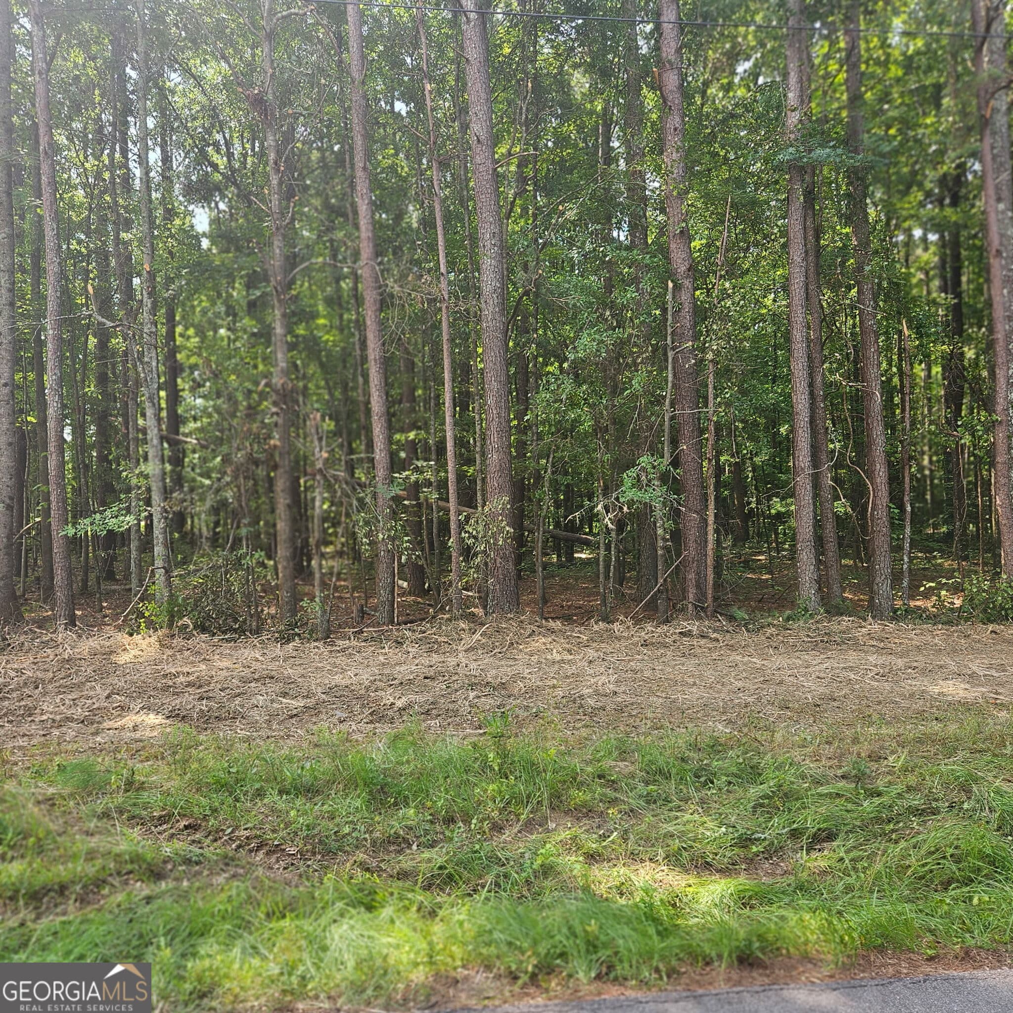 residential lot for sale at 0 Academy Lane, Rutledge, GA 30663 — photo 1 of 5