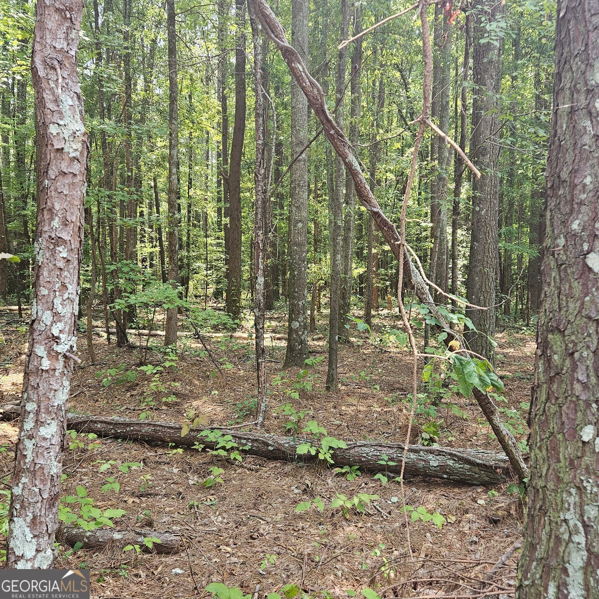 residential lot for sale at 0 Academy Lane, Rutledge, GA 30663 — photo 5