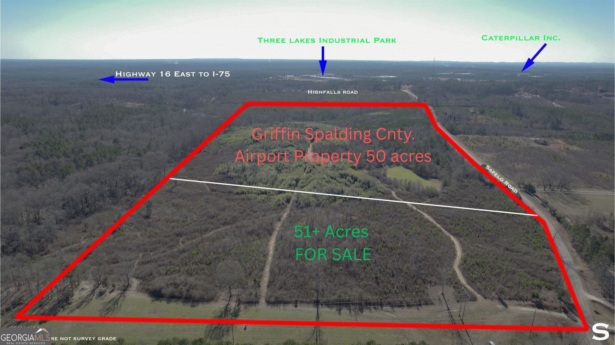 unimproved land for sale at 230 Sapelo Road, Griffin, GA 30223 — photo 2