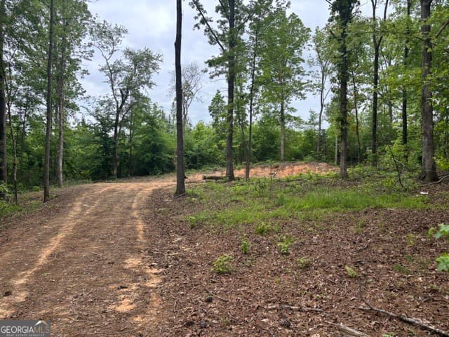 residential lot for sale at TRACT 1 343 County road 892, Wedowee, AL 36278 — photo 2