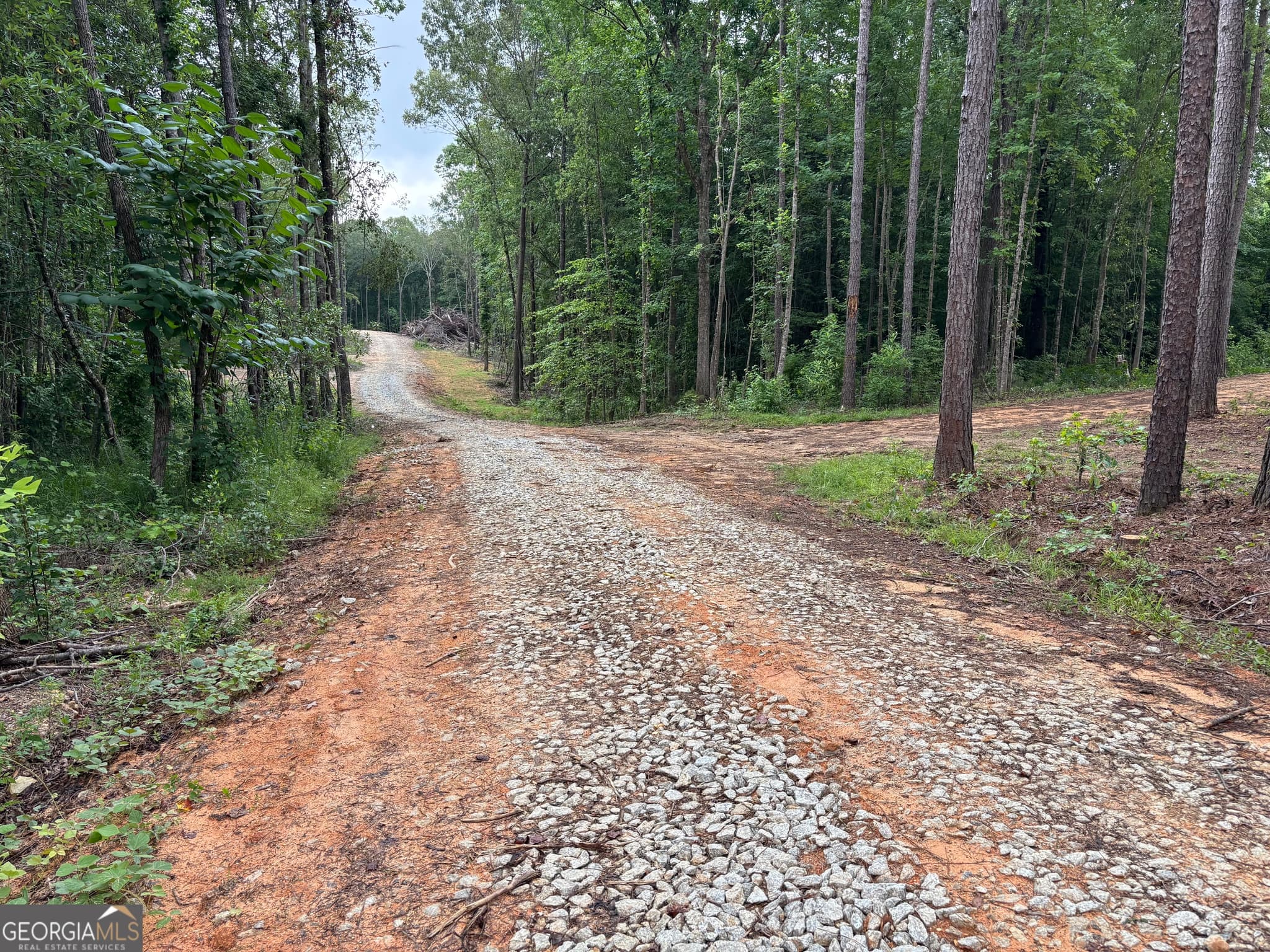 residential lot for sale at TRACT 1 343 County road 892, Wedowee, AL 36278 — photo 6