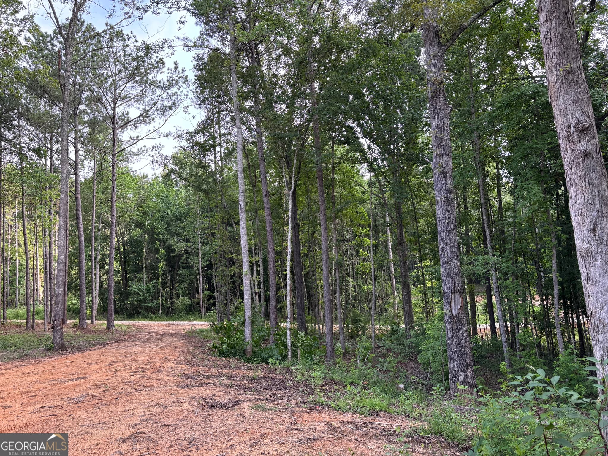residential lot for sale at TRACT 1 343 County road 892, Wedowee, AL 36278 — photo 7