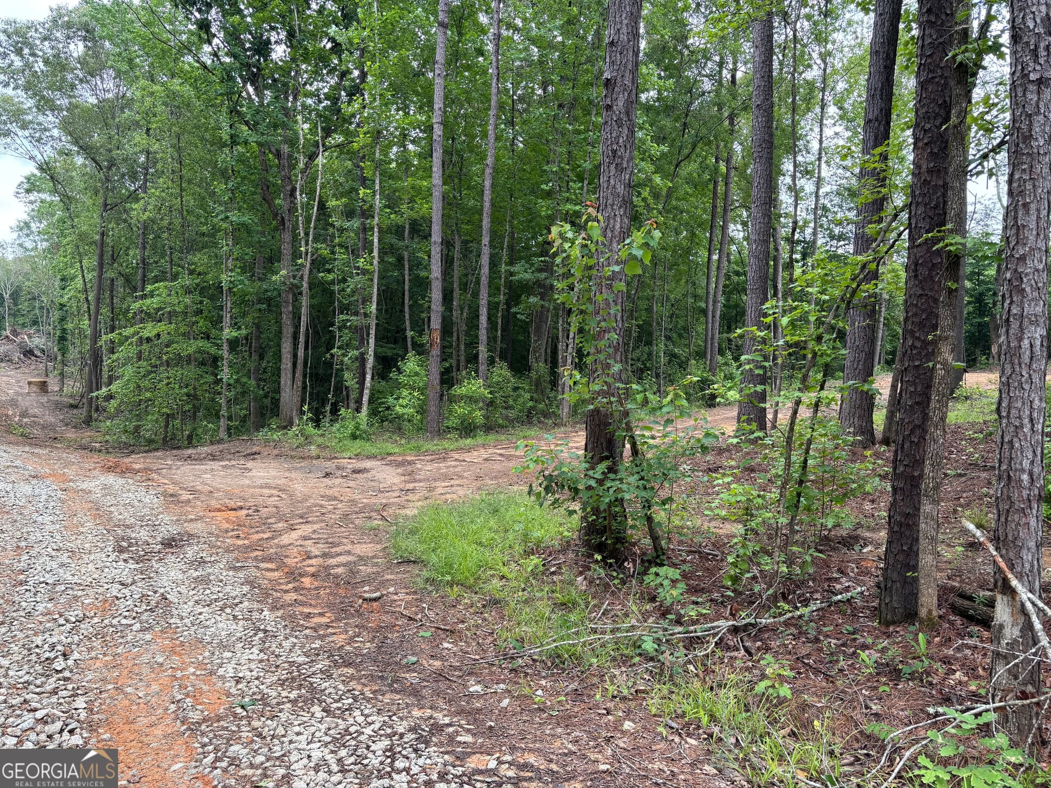 residential lot for sale at TRACT 1 343 County road 892, Wedowee, AL 36278
