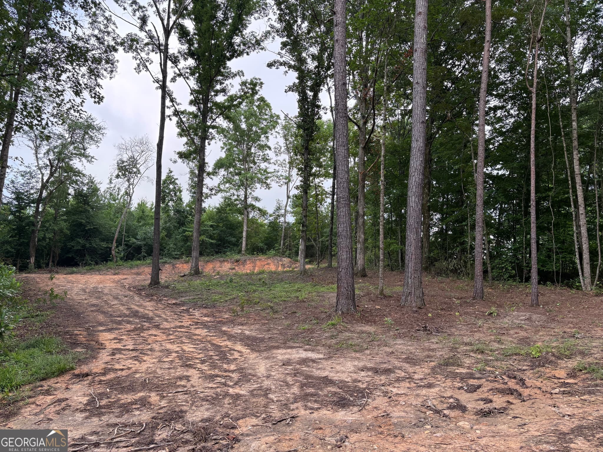 residential lot for sale at TRACT 1 343 County road 892, Wedowee, AL 36278 — photo 9