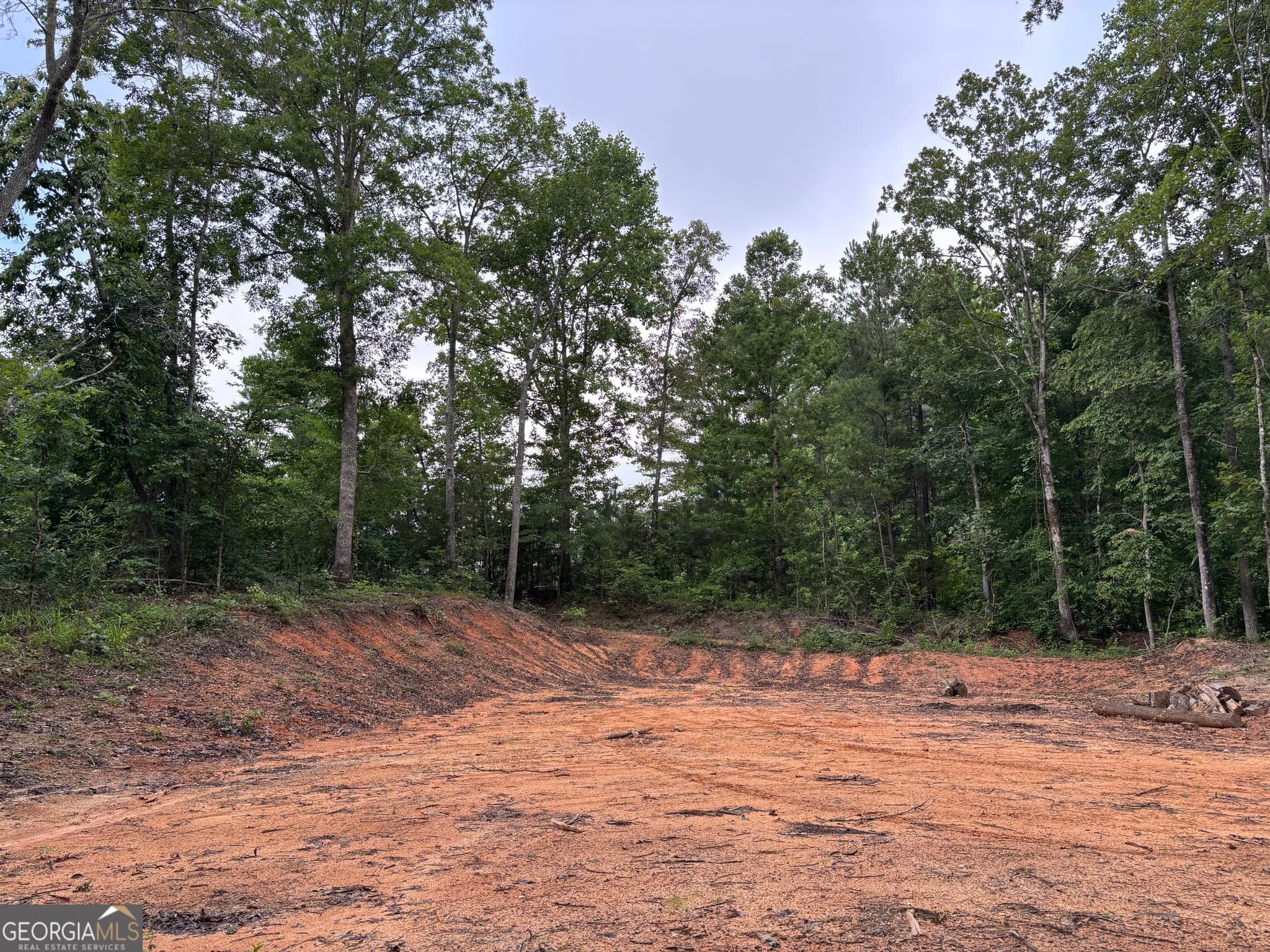 residential lot for sale at TRACT 1 343 County road 892, Wedowee, AL 36278 — photo 10