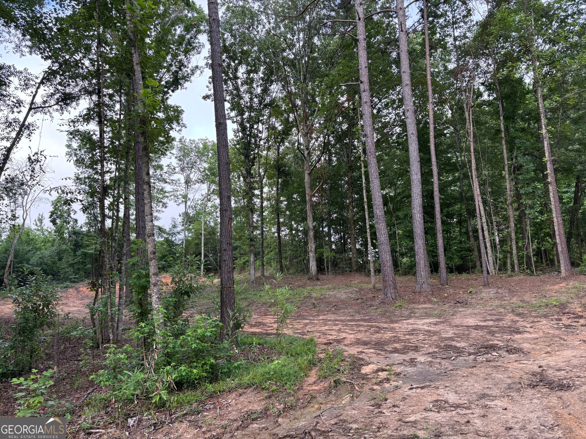 residential lot for sale at TRACT 1 343 County road 892, Wedowee, AL 36278 — photo 8