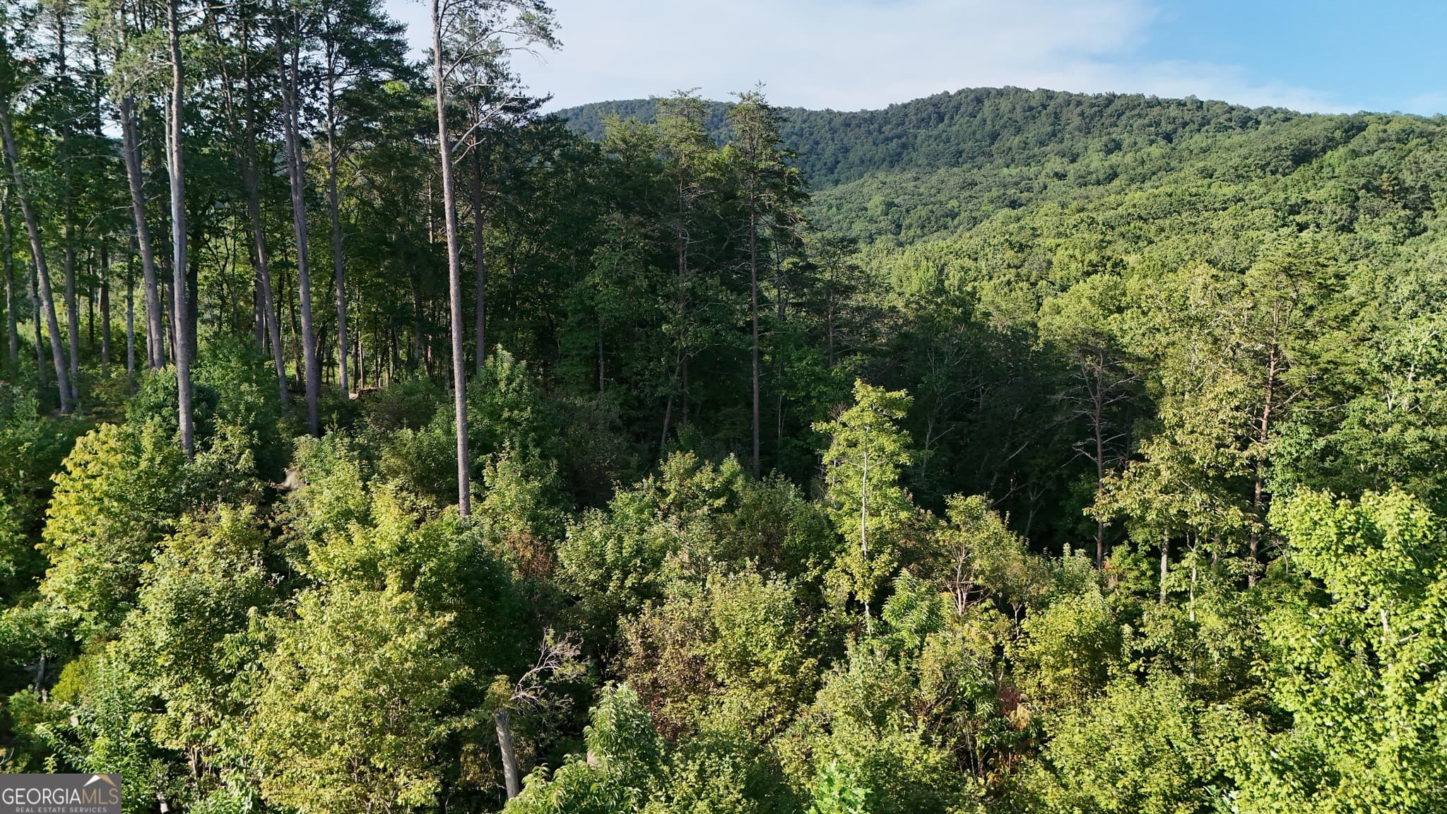 residential lot for sale at 0 Waterfall Lane, Sautee Nacoochee, GA 30571 — photo 7