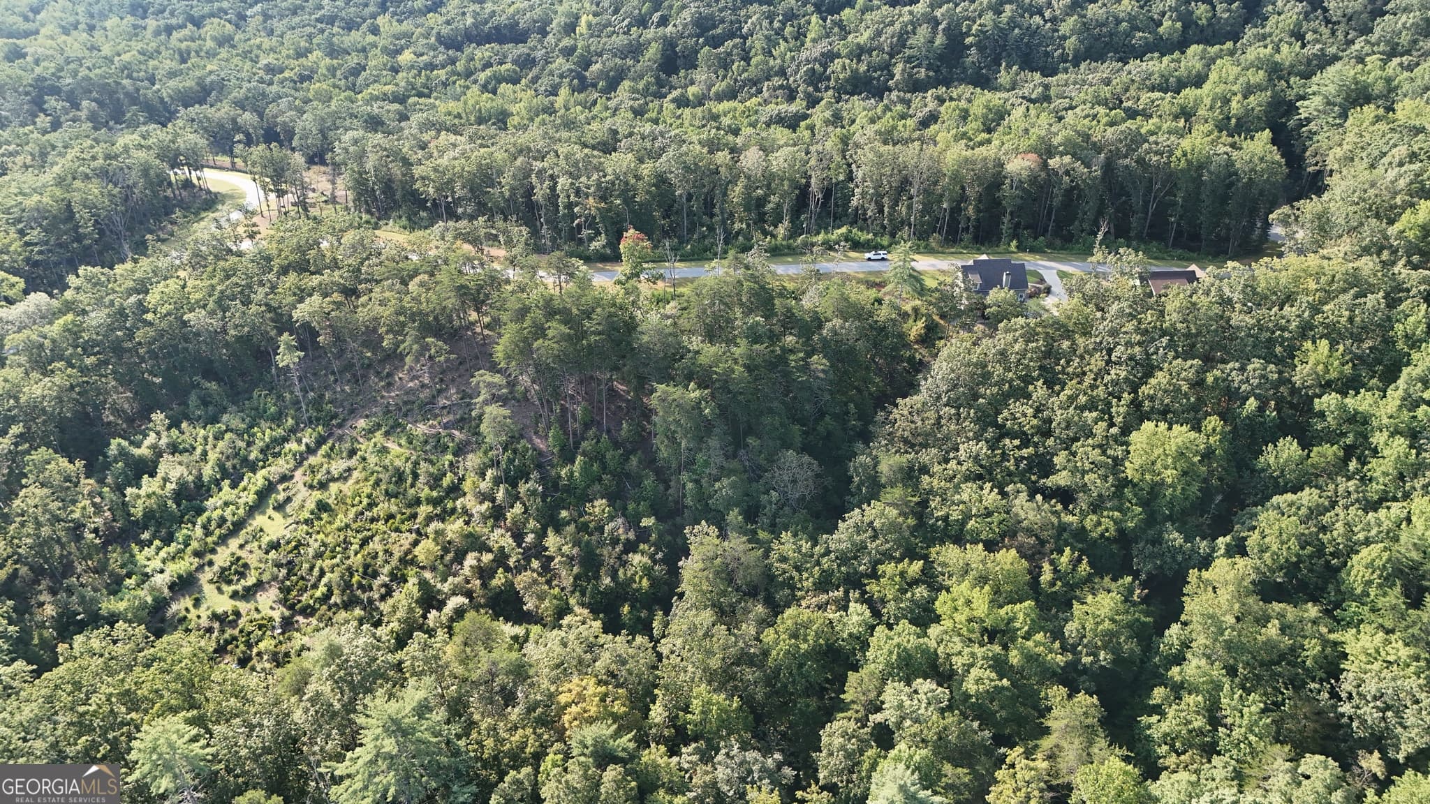 residential lot for sale at 0 Waterfall Lane, Sautee Nacoochee, GA 30571 — photo 8