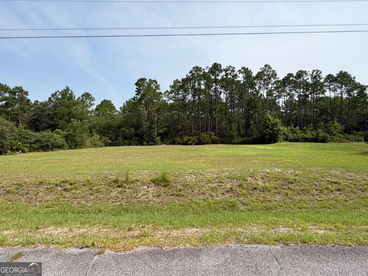 residential lot for sale at 0 Plantation Road 21, Midway, GA 31320 — photo 6