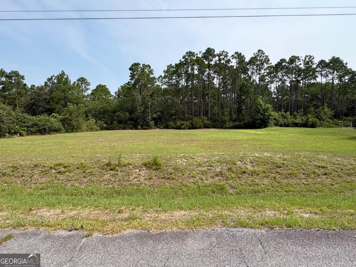residential lot for sale at 0 Plantation Road 21, Midway, GA 31320 — photo 5