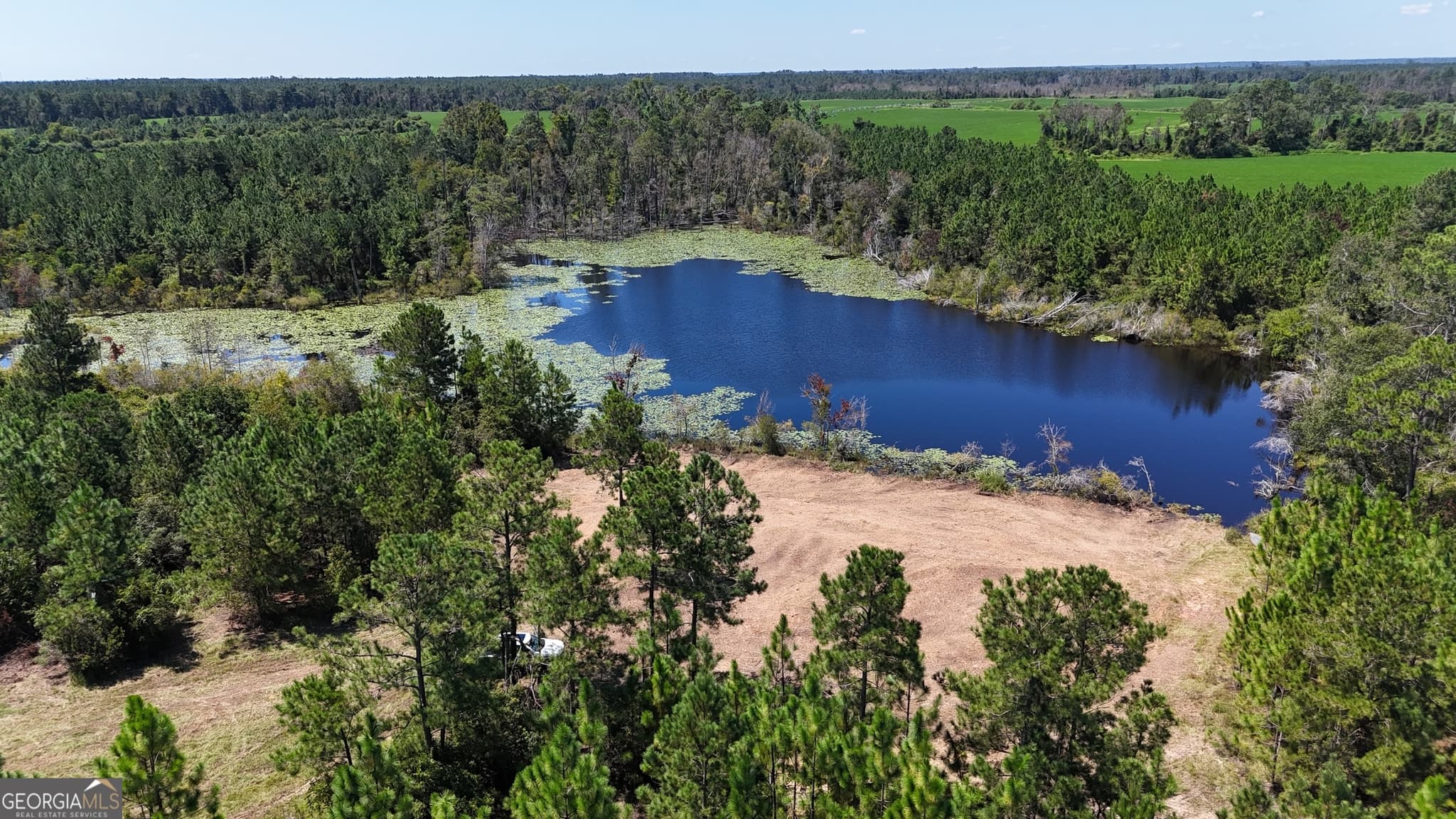 agriculture for sale at TRACT 2 Rhonda Coleman Road, Hazlehurst, GA 31539 — photo 6