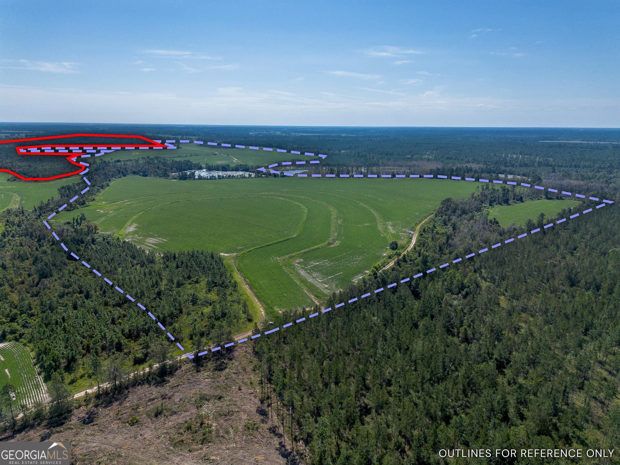 agriculture for sale at TRACT 2 Rhonda Coleman Road, Hazlehurst, GA 31539 — photo 7