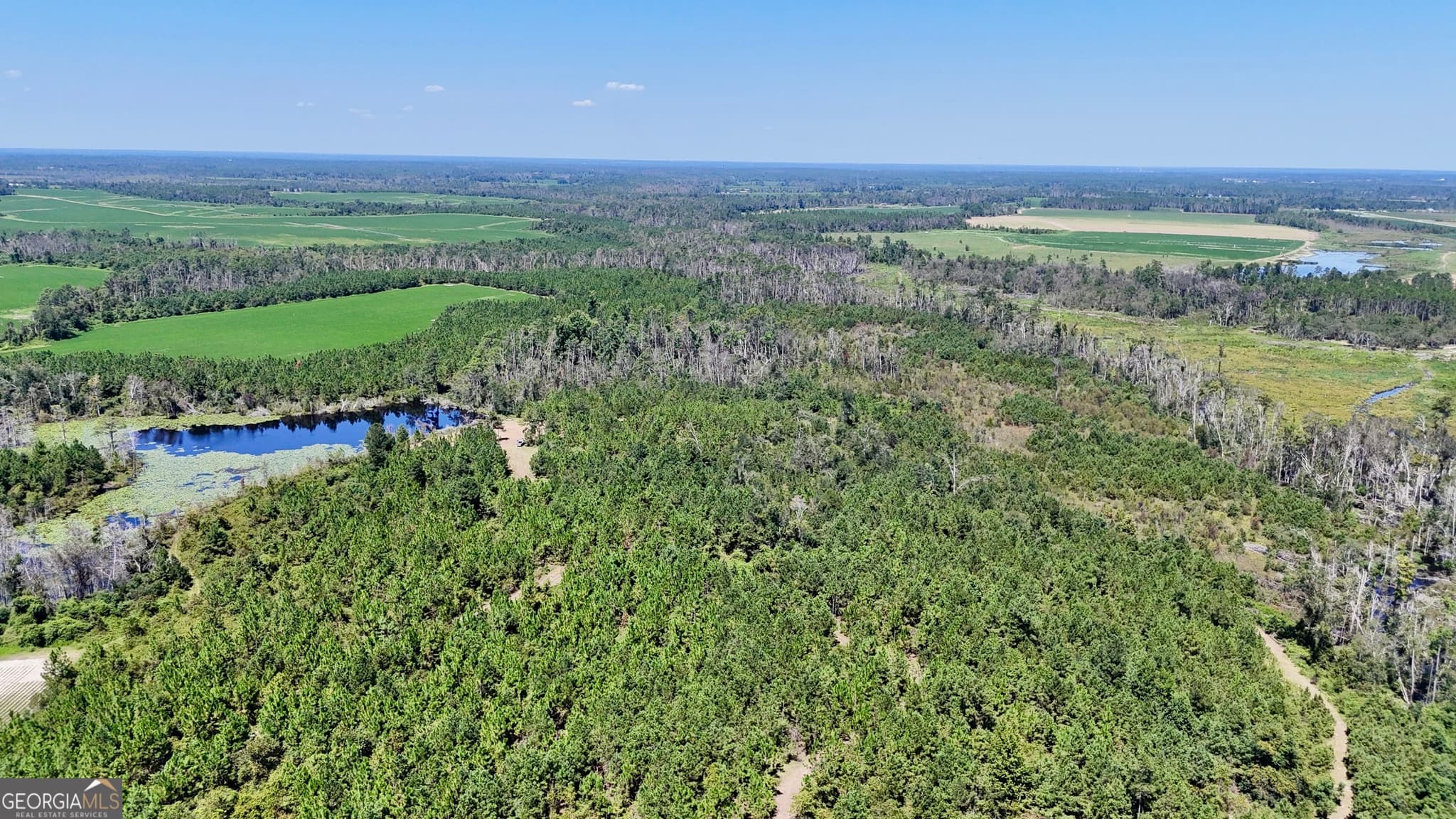agriculture for sale at TRACT 2 Rhonda Coleman Road, Hazlehurst, GA 31539