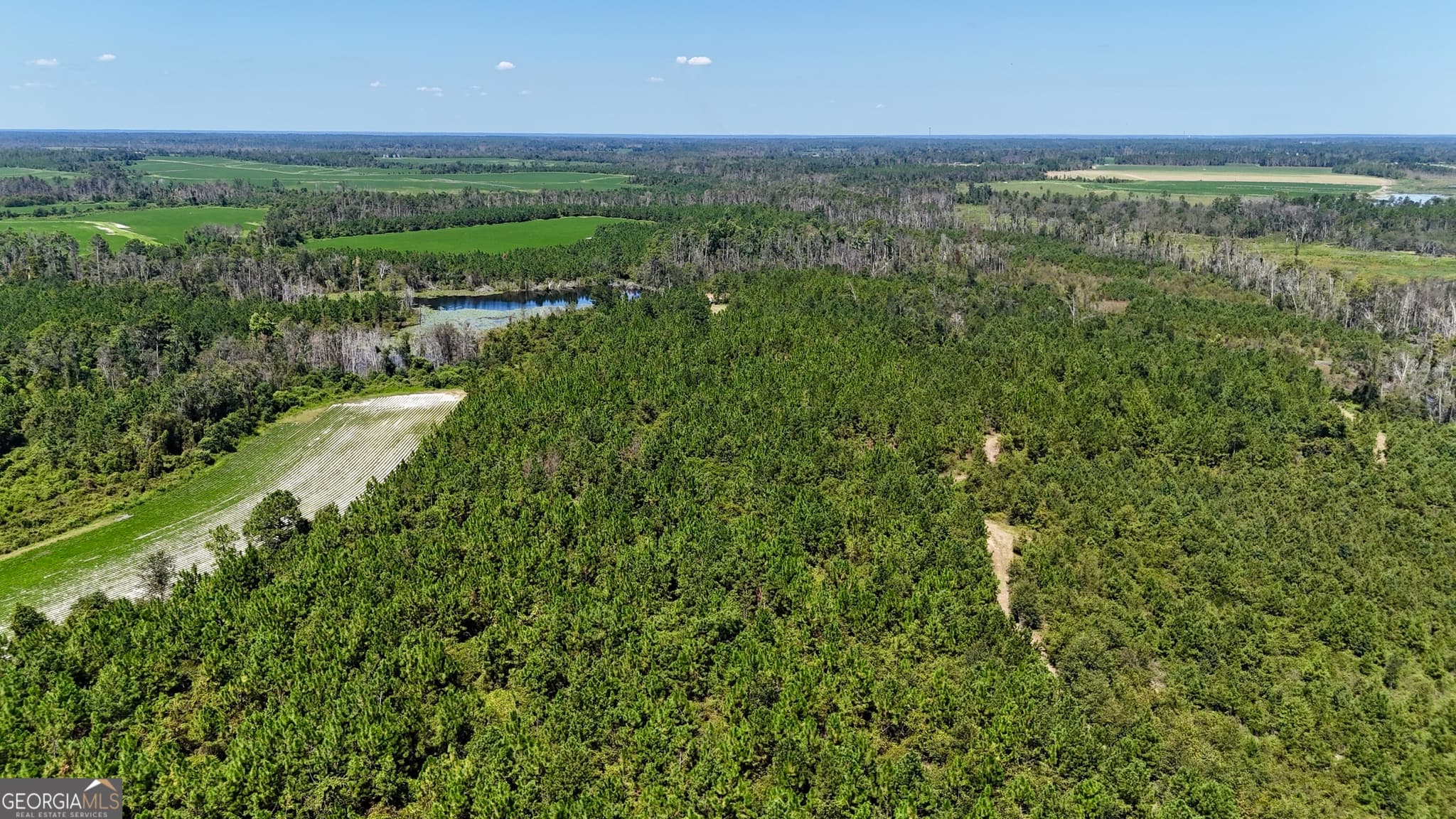 agriculture for sale at TRACT 2 Rhonda Coleman Road, Hazlehurst, GA 31539 — photo 9