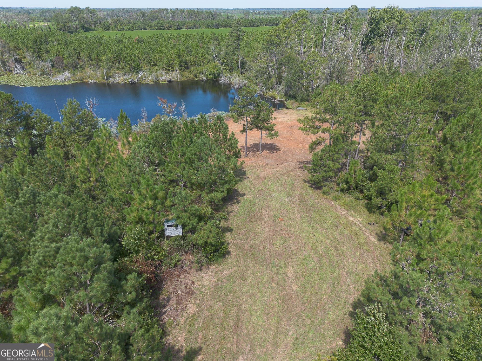 agriculture for sale at TRACT 2 Rhonda Coleman Road, Hazlehurst, GA 31539 — photo 10