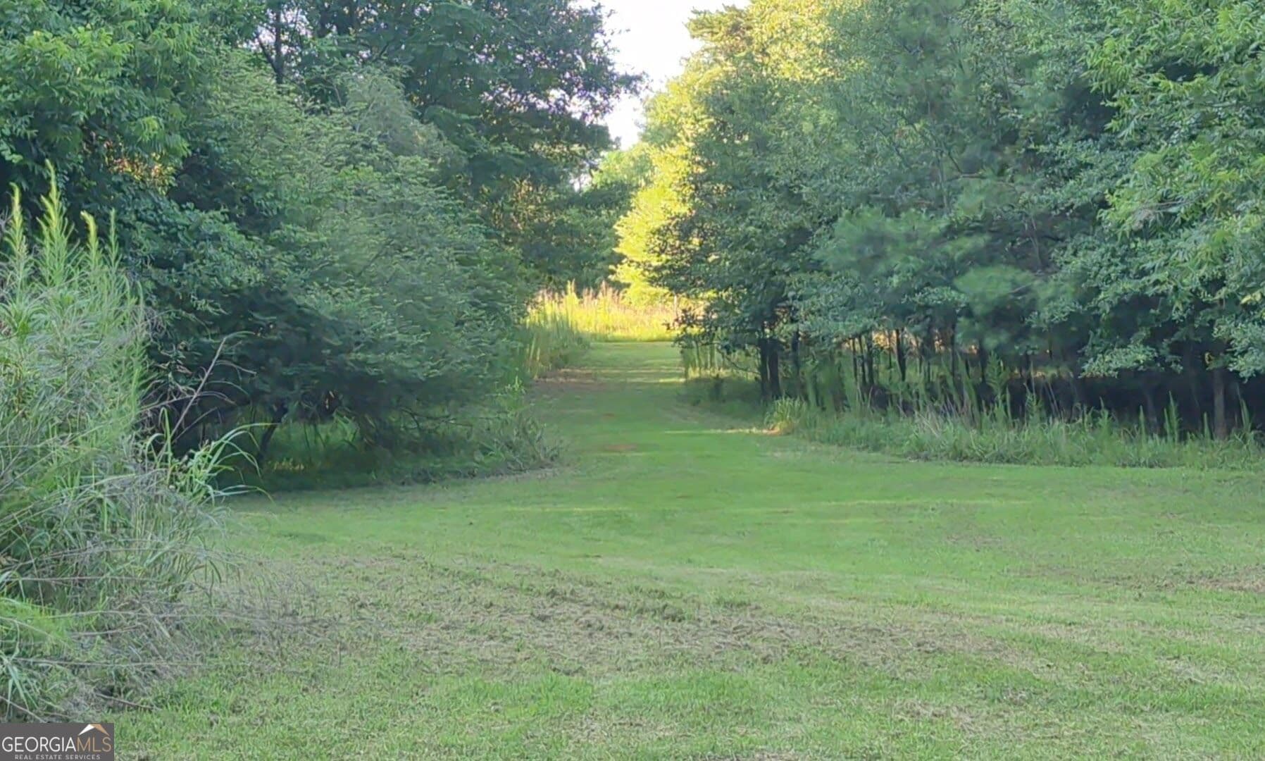 residential lot for sale at 222 Norman Road, Athens, GA 30607 — photo 3