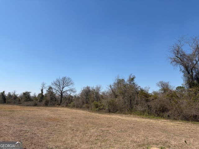 agriculture for sale at 461 Currington Road, Mauk, GA 31058 — photo 2