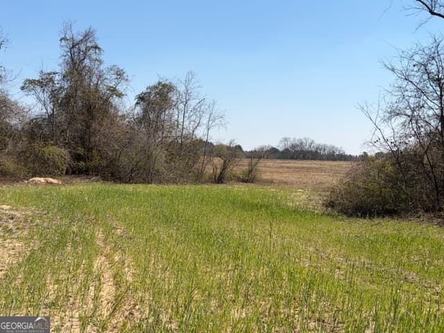 agriculture for sale at 461 Currington Road, Mauk, GA 31058 — photo 6