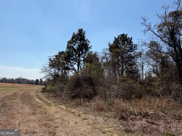 agriculture for sale at 461 Currington Road, Mauk, GA 31058 — photo 7