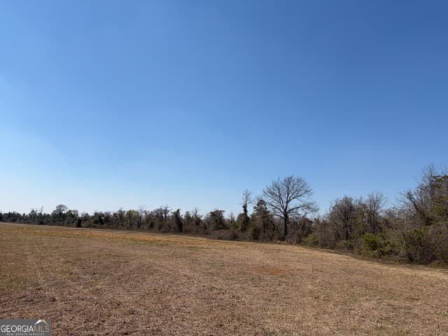 agriculture for sale at 461 Currington Road, Mauk, GA 31058 — photo 3
