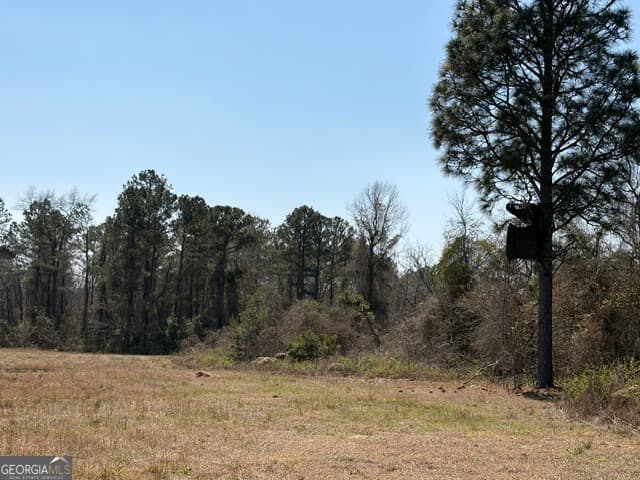 agriculture for sale at 461 Currington Road, Mauk, GA 31058