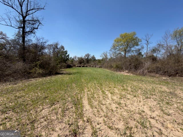 agriculture for sale at 461 Currington Road, Mauk, GA 31058 — photo 5