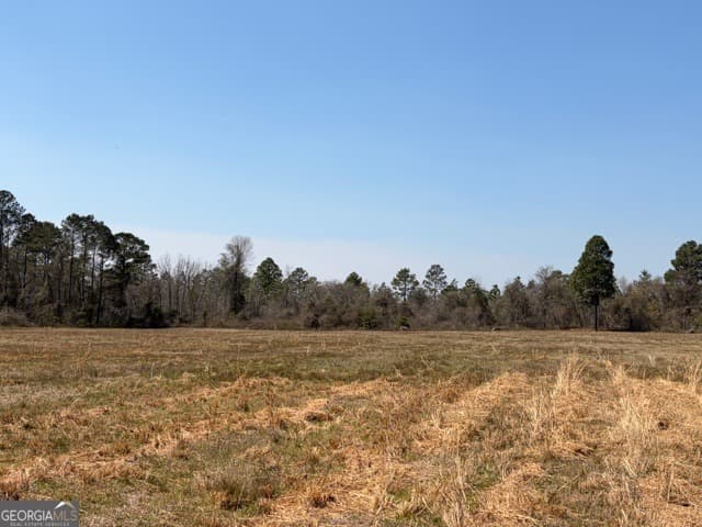 agriculture for sale at 461 Currington Road, Mauk, GA 31058 — photo 9