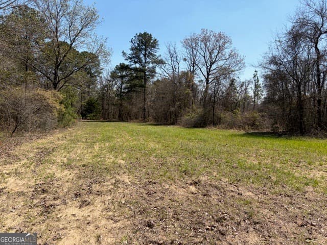 agriculture for sale at 461 Currington Road, Mauk, GA 31058 — photo 10