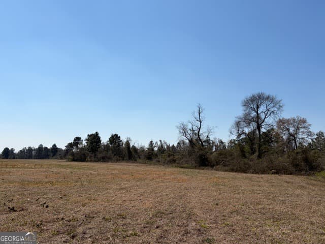 agriculture for sale at 461 Currington Road, Mauk, GA 31058 — photo 4