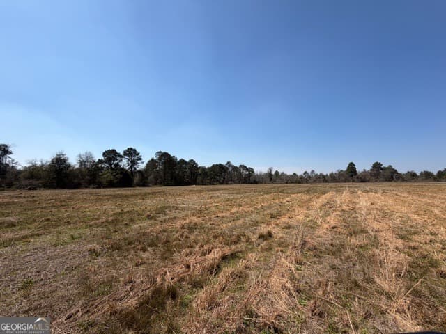 agriculture for sale at 461 Currington Road, Mauk, GA 31058 — photo 8