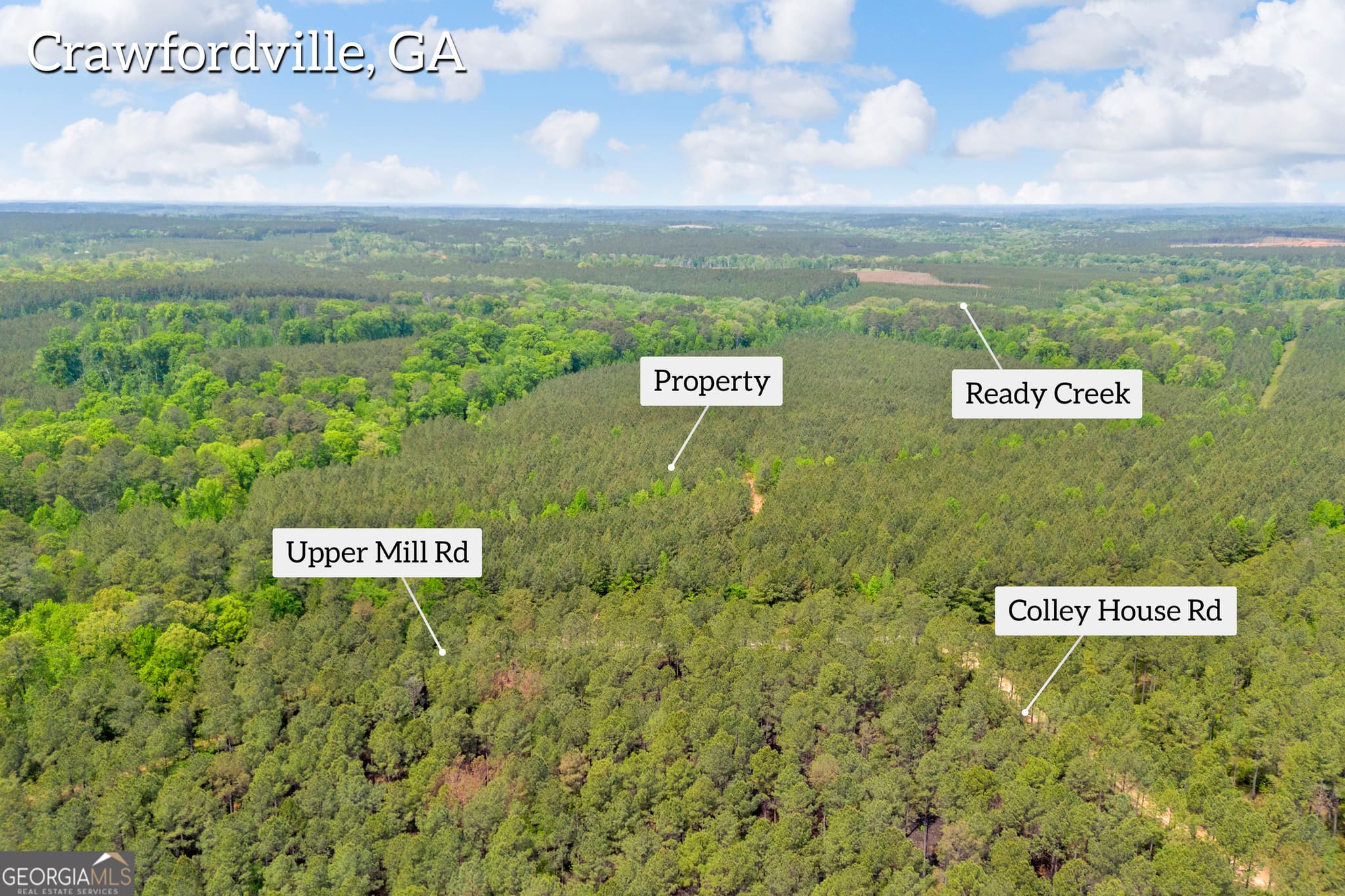 agriculture for sale at 0 Upper Mill Road, Crawfordville, GA 30631 — photo 6