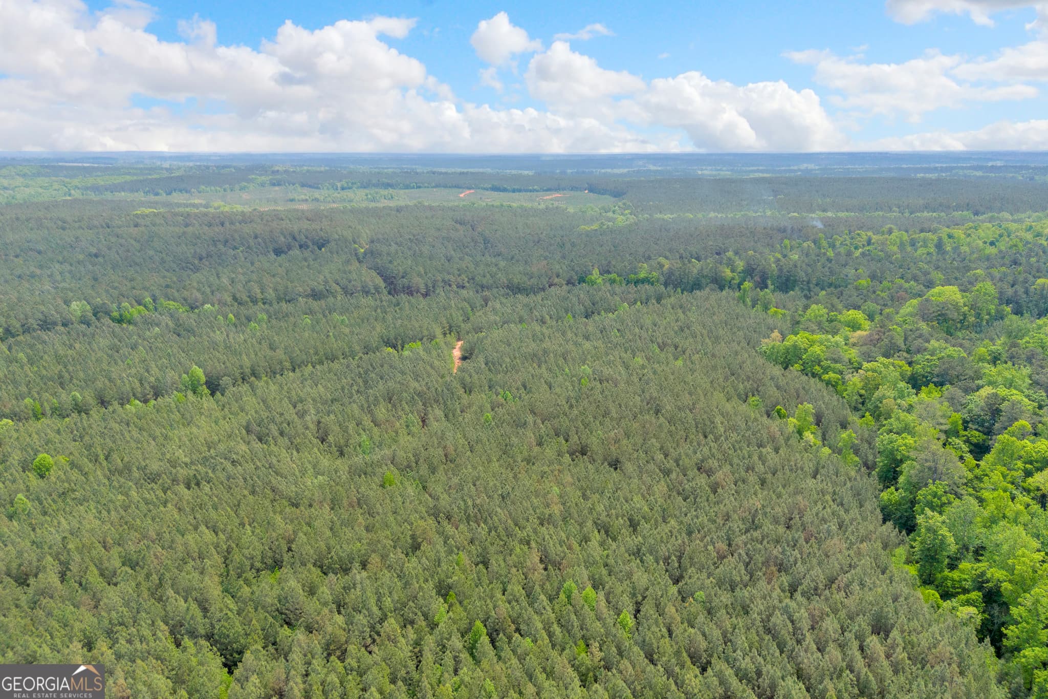 agriculture for sale at 0 Upper Mill Road, Crawfordville, GA 30631 — photo 7