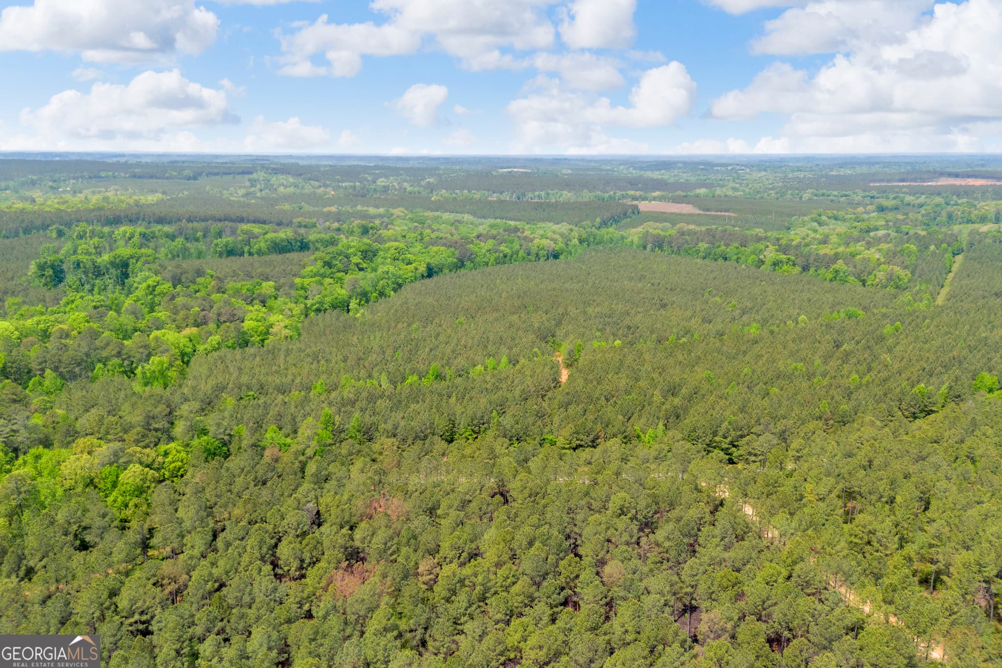 agriculture for sale at 0 Upper Mill Road, Crawfordville, GA 30631 — photo 5