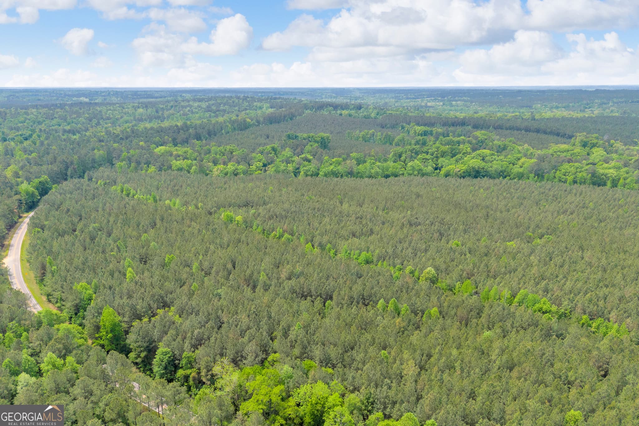 agriculture for sale at 0 Upper Mill Road, Crawfordville, GA 30631 — photo 9
