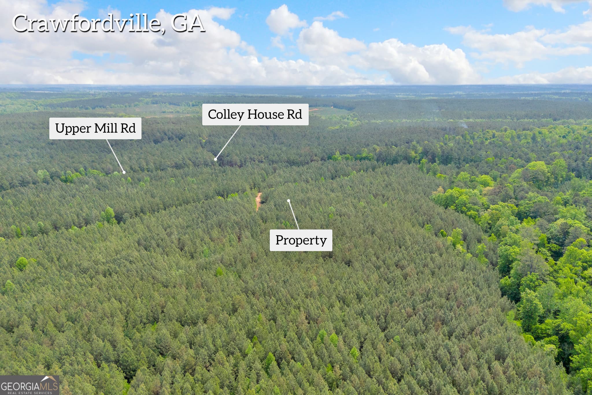 agriculture for sale at 0 Upper Mill Road, Crawfordville, GA 30631 — photo 8