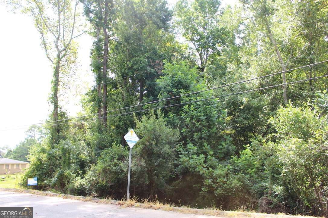 unimproved land for sale at 218 Ella Drive, Griffin, GA 30223 — photo 2