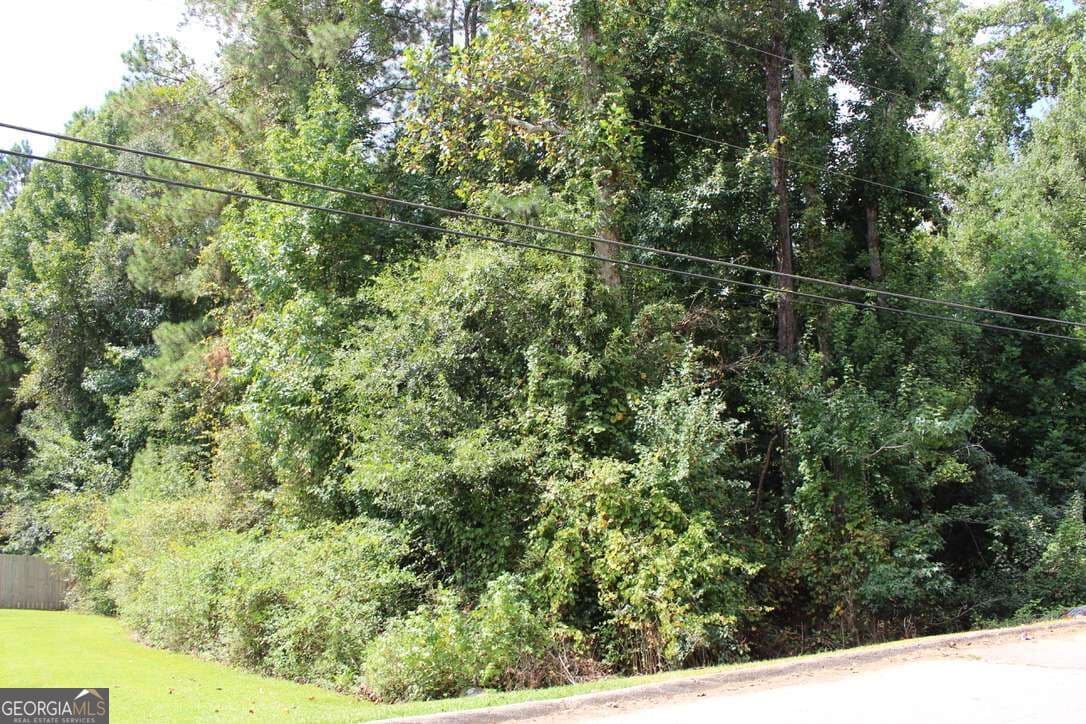 unimproved land for sale at 218 Ella Drive, Griffin, GA 30223 — photo 3